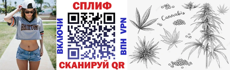 нарко площадка состав мега как зайти Белореченск дарнет шоп Конопля Bruce Banner